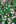 Afbeelding 6